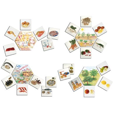 Portada de Juego de Mesa Los Alimentos