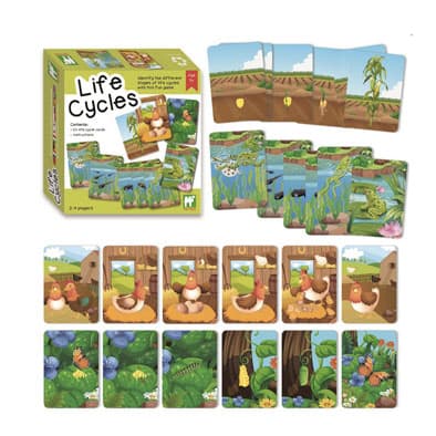 Portada de Juego Educativo Ciclos de Vida