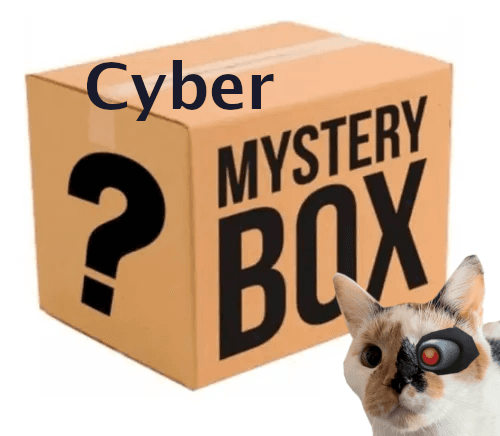 Portada de Cyber Caja Sorpresa