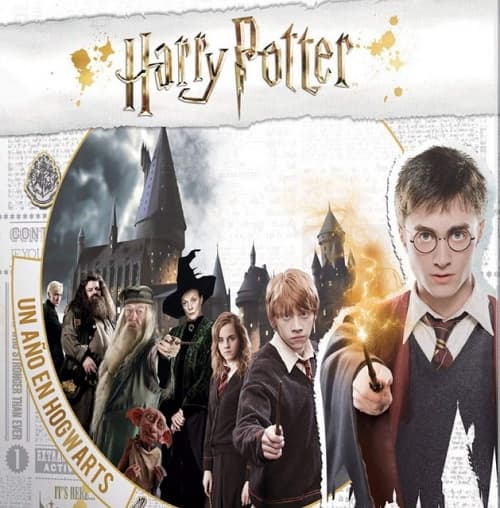 Portada de HARRY POTTER : Un año en Howgarts